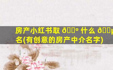 房产小红书取 🐺 什么 🐵 名(有创意的房产中介名字)